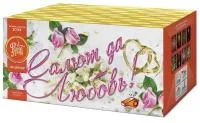 Салют Салют да любовь ЕС553 купить от производителя ФейерЛэнд — Самара