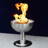 Чаша торжественный огонь (197218) производство для огня ø 320 мм. ветроустойчивая  в Самаре