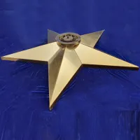 Звезда вечный огонь (1628) поставка комплект горелка ГВД 379 10 89 00 ПС ø 1100 мм. пустотелая  в Самаре